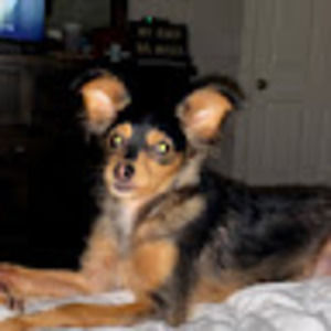 Meet your Posher, Christy